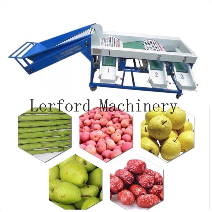 apple grading machine