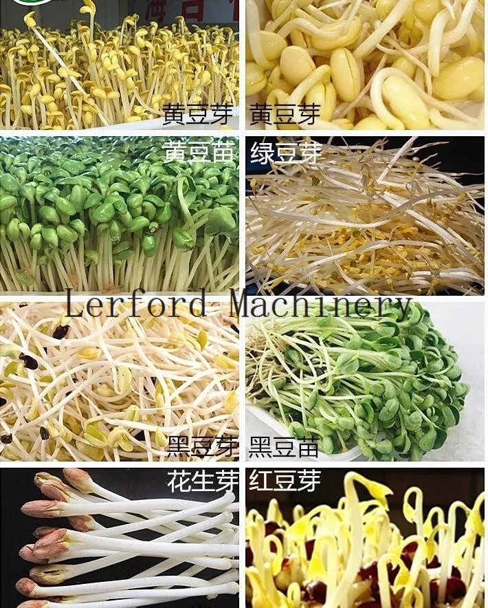 sprouts machine automatic