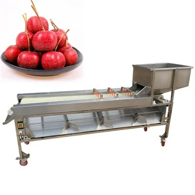 Apple Grading Packing Tshuab